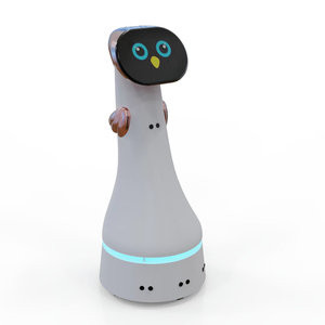 Interactive Service Robot for Educational Institutions